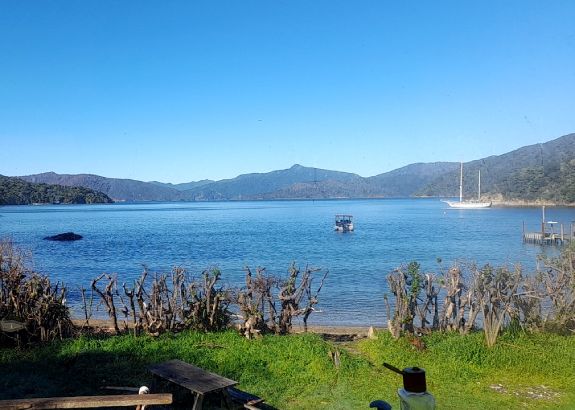 Holiday house in Queen Charlotte Sound